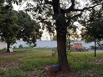 Terreno para Venda no Ch�caras Antonieta, Limeira